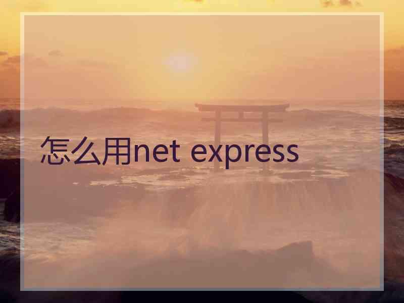 怎么用net express 怎么用net express