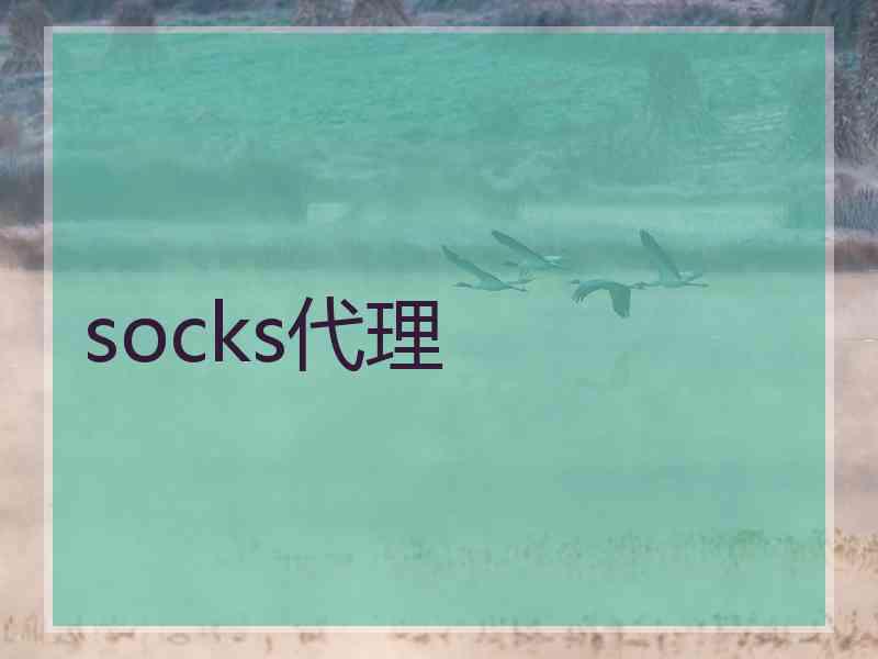 socks代理
