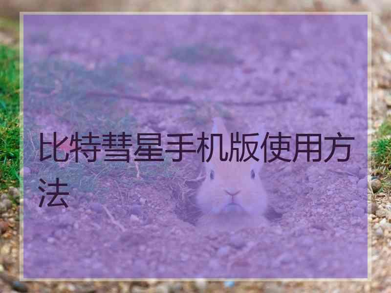 比特彗星手机版使用方法 比特彗星手机版使用方法