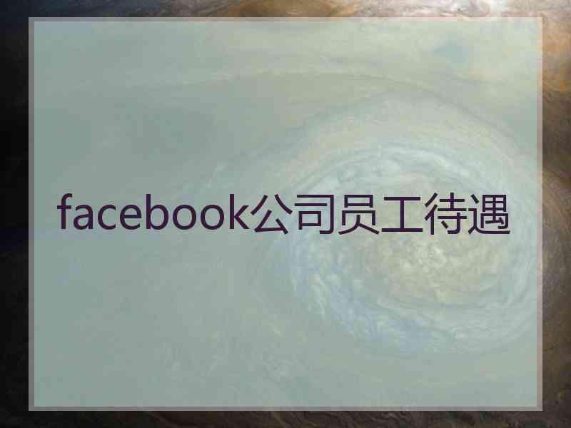 facebook公司员工待遇 facebook公司员工待遇