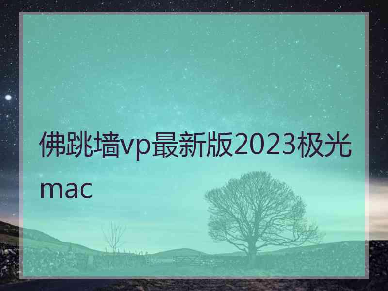 佛跳墙vp最新版2023极光 mac