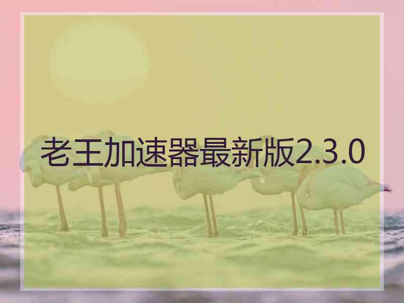 老王加速器最新版2.3.0 老王加速器最新版2.3.0
