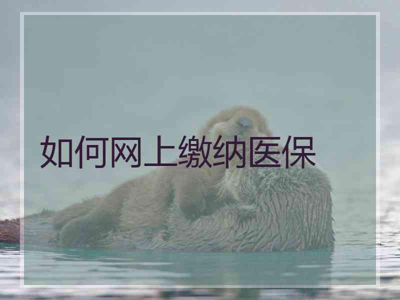 如何网上缴纳医保 如何网上缴纳医保