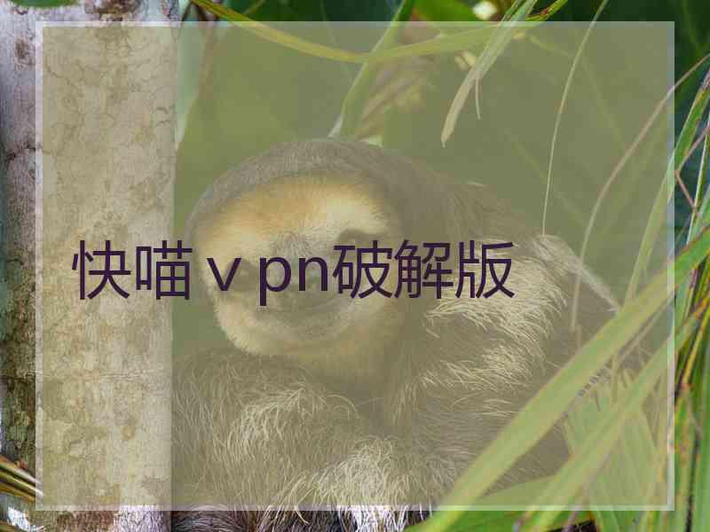 快喵ⅴpn破解版 快喵ⅴpn破解版