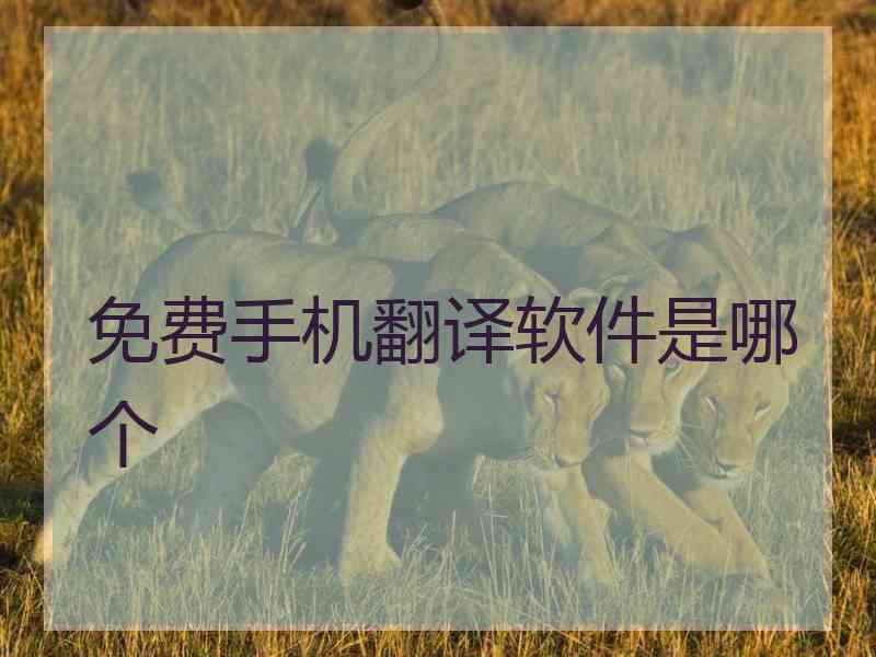 免费手机翻译软件是哪个 免费手机翻译软件是哪个