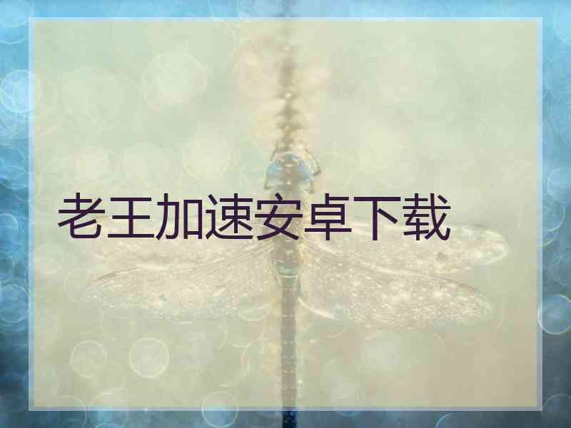 老王加速安卓下载 老王加速安卓下载