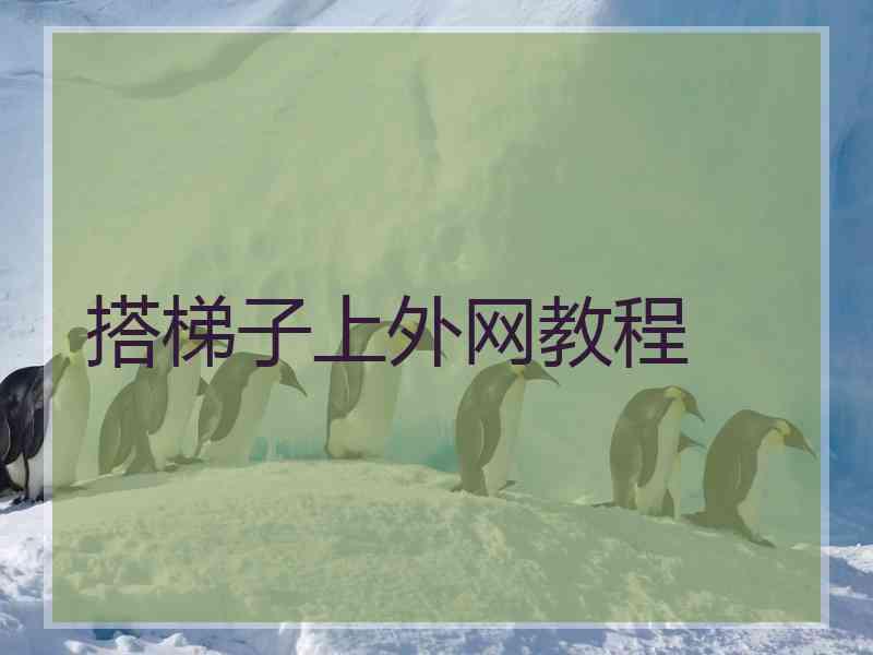 搭梯子上外网教程 搭梯子上外网教程