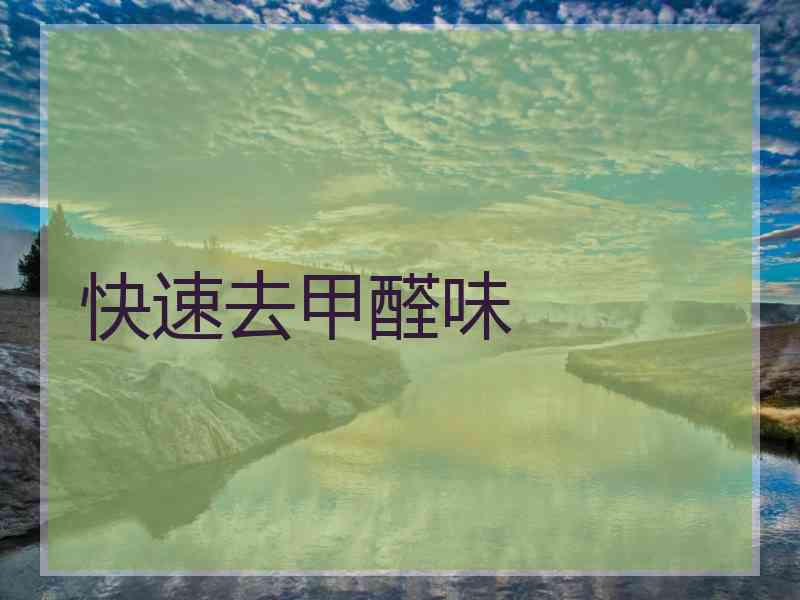 快速去甲醛味 快速去甲醛味