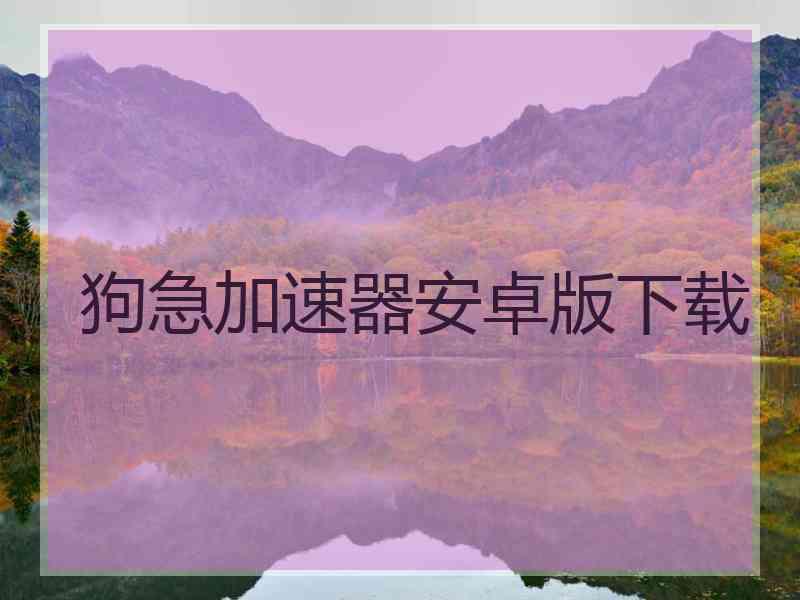 狗急加速器安卓版下载 狗急加速器安卓版下载