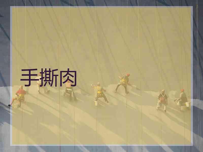 手撕肉 手撕肉