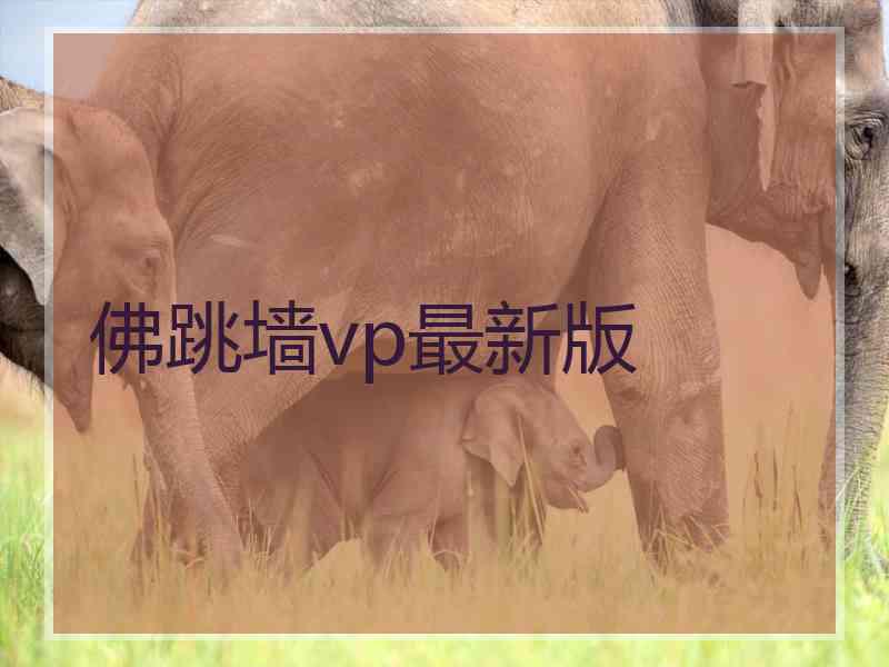佛跳墙vp最新版 佛跳墙vp最新版