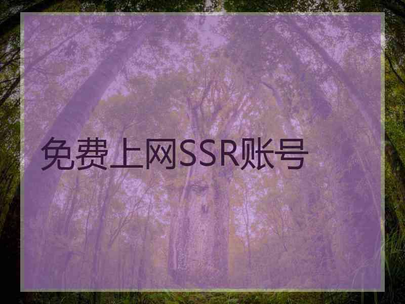 免费上网SSR账号 免费上网SSR账号