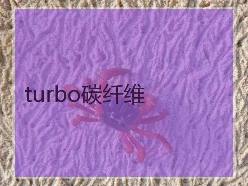 turbo碳纤维 turbo碳纤维