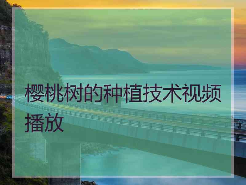 樱桃树的种植技术视频播放 樱桃树的种植技术视频播放