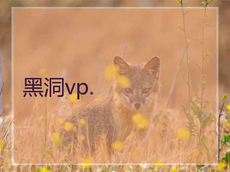 黑洞vp. 黑洞vp.