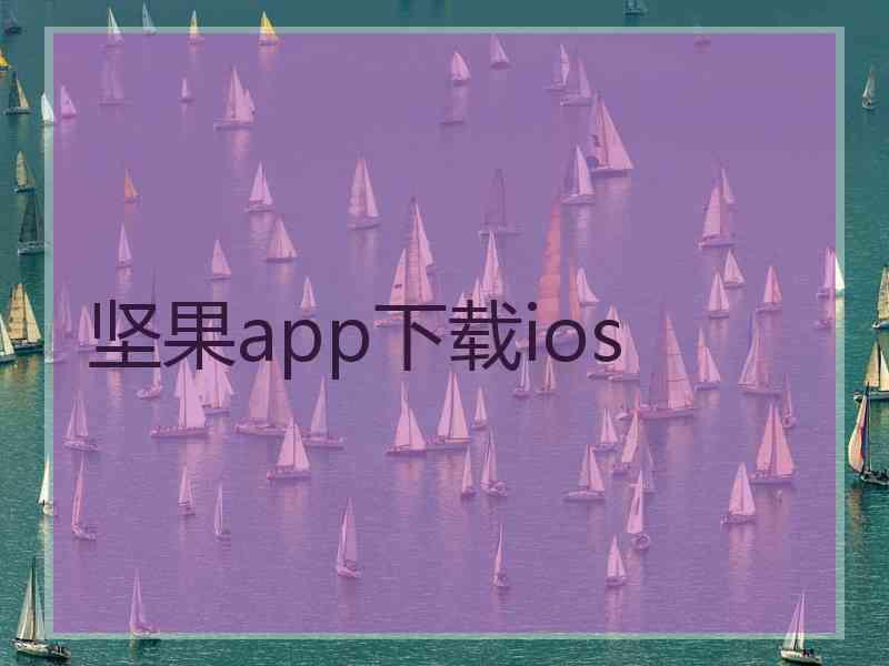 坚果app下载ios