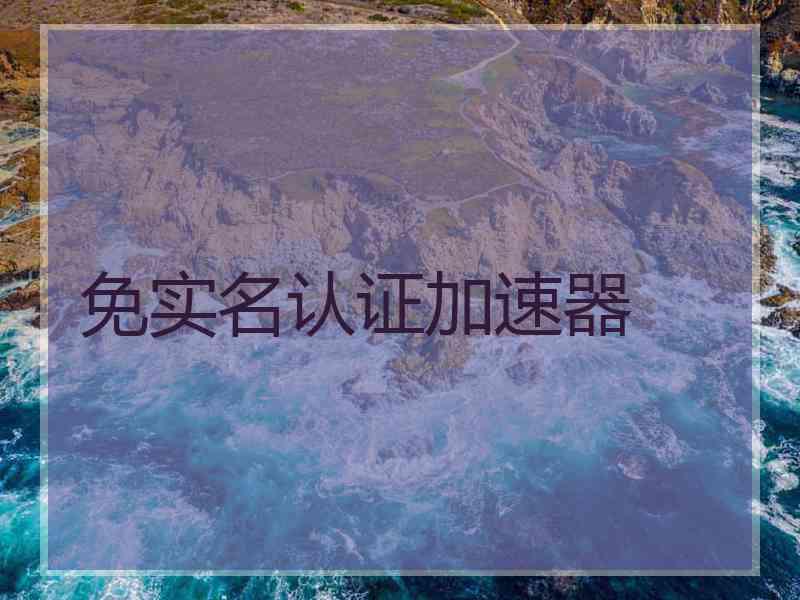 免实名认证加速器 免实名认证加速器