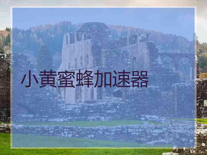 小黄蜜蜂加速器 小黄蜜蜂加速器