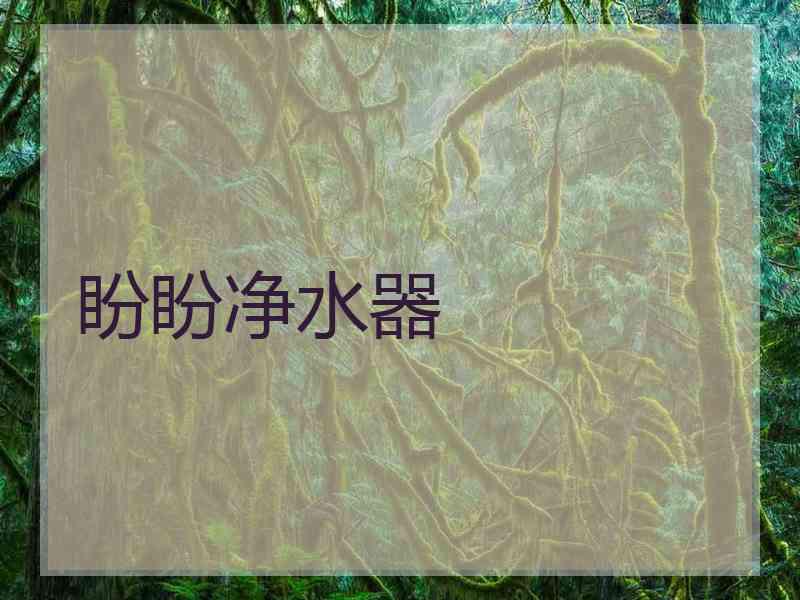 盼盼净水器 盼盼净水器