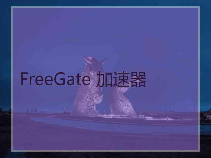 FreeGate 加速器 FreeGate 加速器