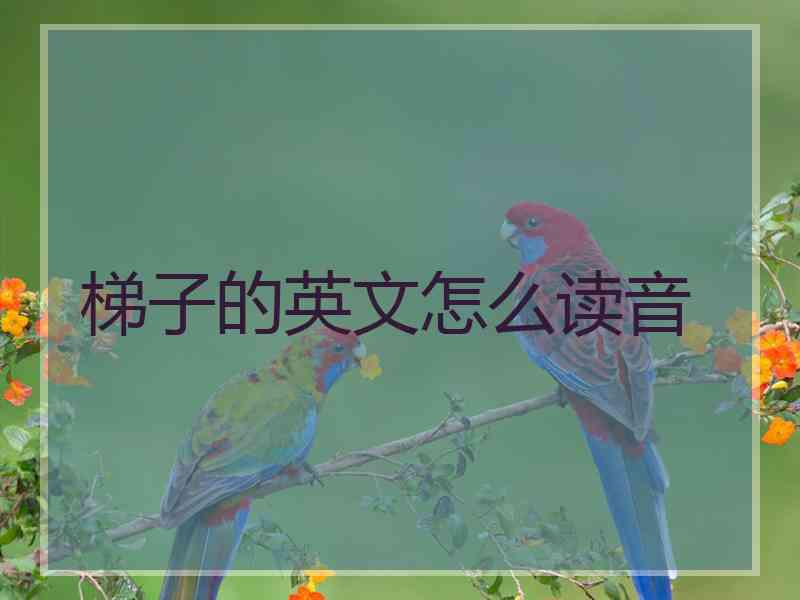 梯子的英文怎么读音 梯子的英文怎么读音