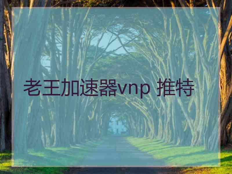 老王加速器vnp 推特 老王加速器vnp 推特