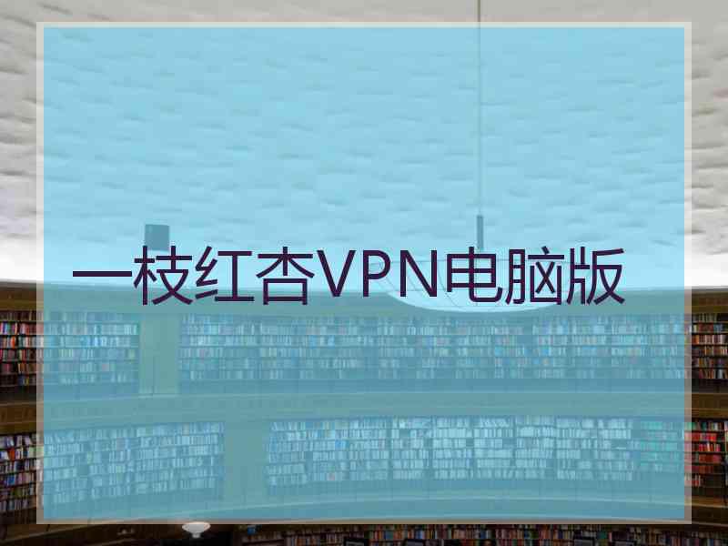 一枝红杏VPN电脑版