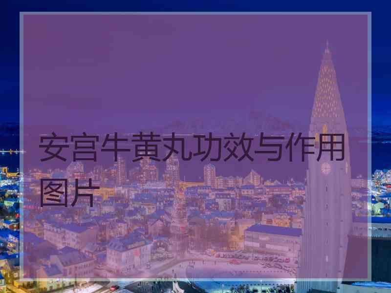 安宫牛黄丸功效与作用 图片 安宫牛黄丸功效与作用 图片