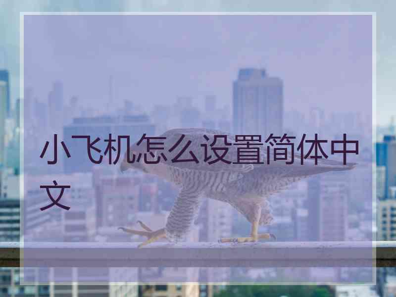 小飞机怎么设置简体中文 小飞机怎么设置简体中文