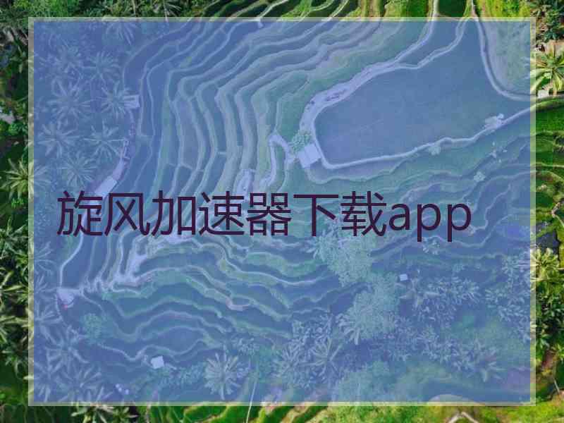 旋风加速器下载app