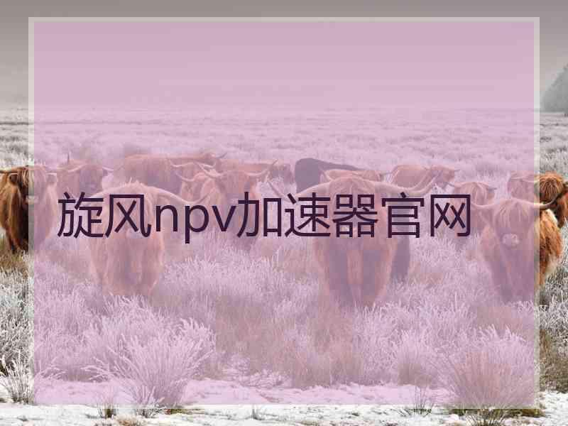 旋风npv加速器官网