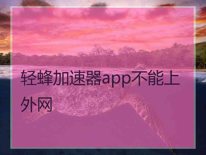 轻蜂加速器app不能上外网