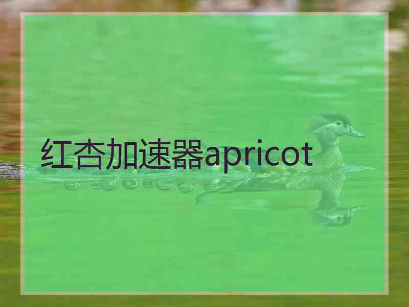 红杏加速器apricot