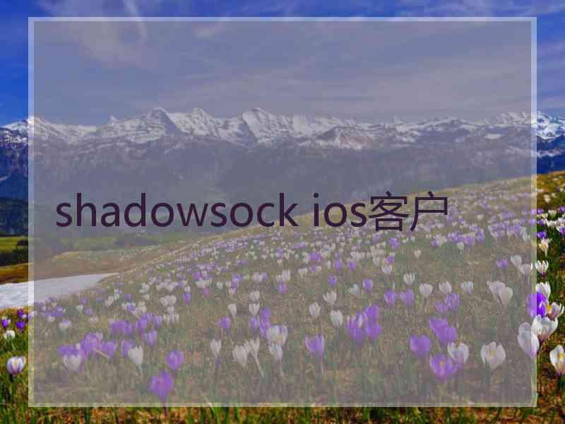 shadowsock ios客户