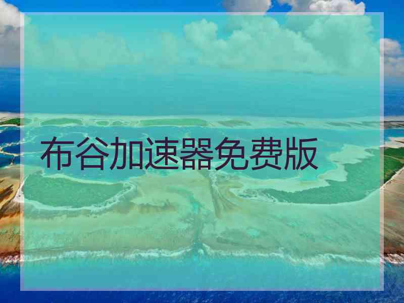 布谷加速器免费版