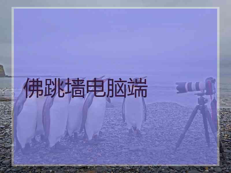 佛跳墙电脑端