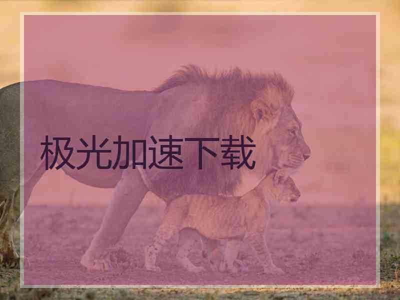 极光加速下载