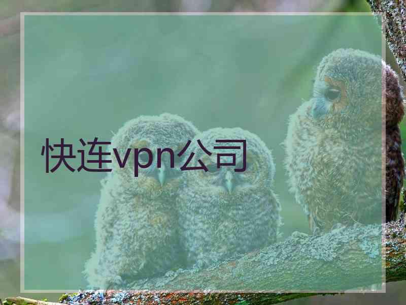 快连vpn公司