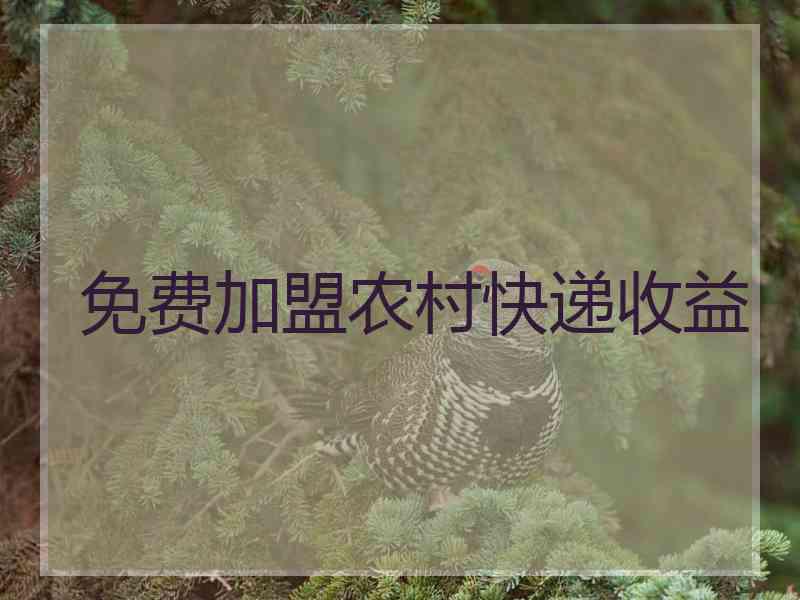 免费加盟农村快递收益
