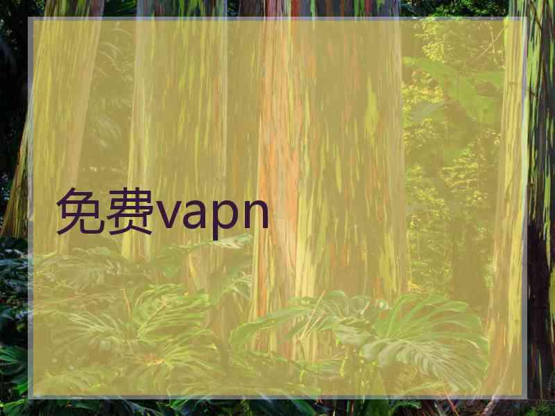 免费vapn