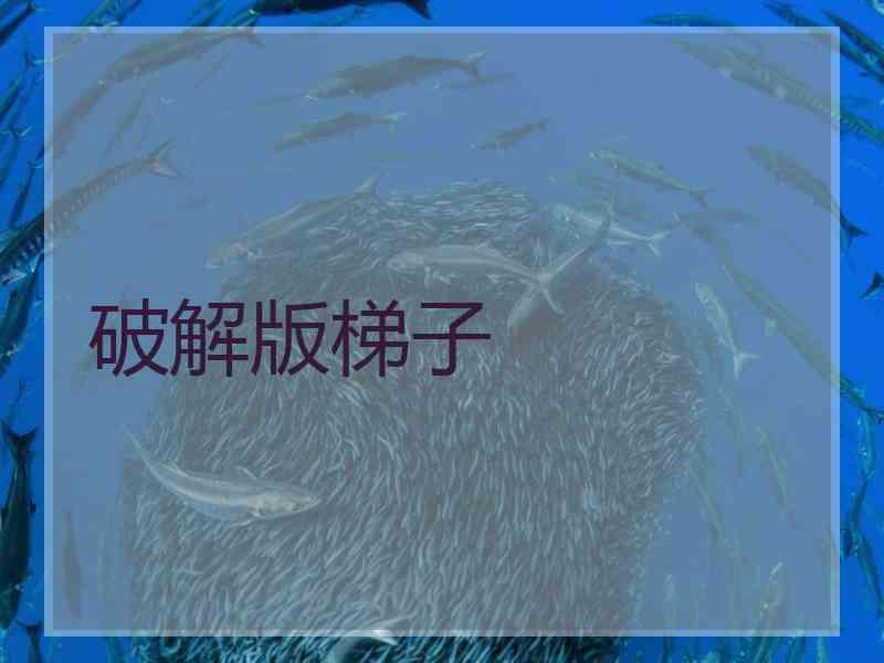 破解版梯子