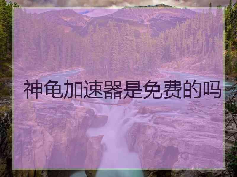 神龟加速器是免费的吗