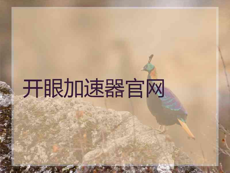 开眼加速器官网