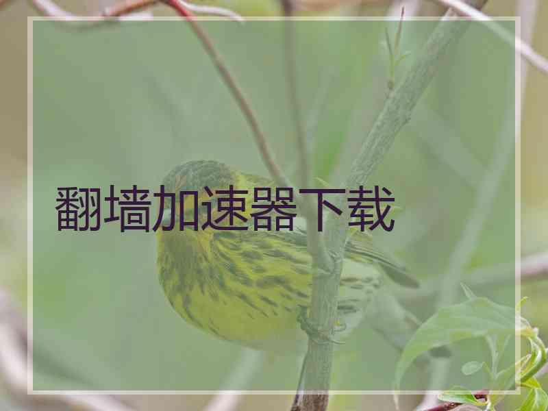 翻墙加速器下载