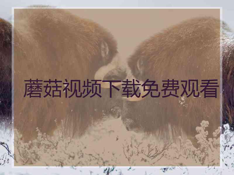 蘑菇视频下载免费观看