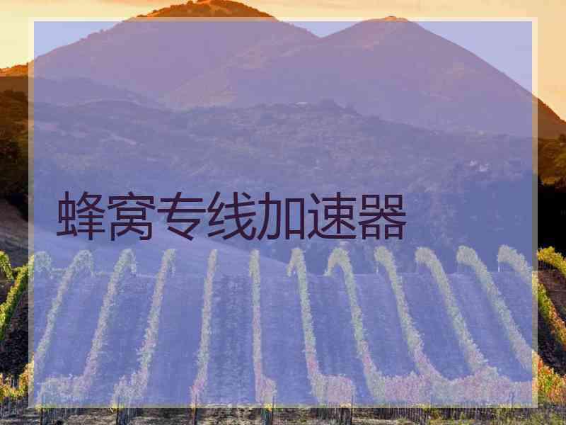 蜂窝专线加速器