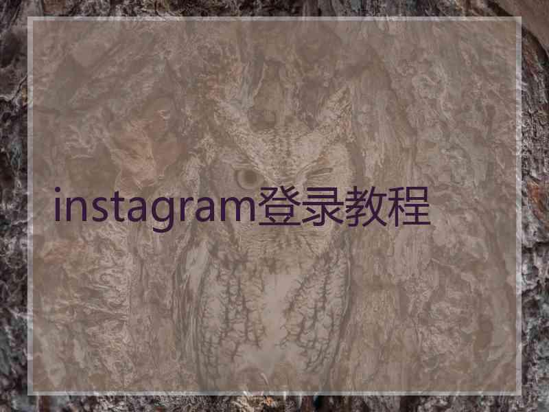 instagram登录教程