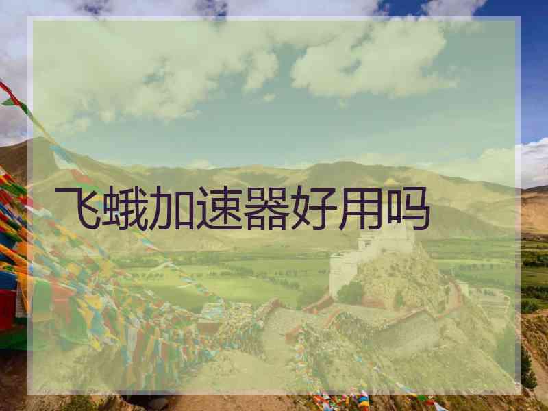 飞蛾加速器好用吗