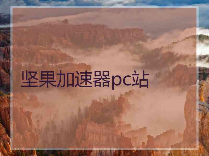 坚果加速器pc站