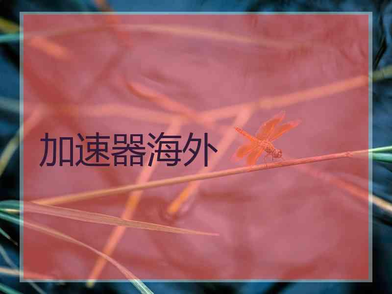 加速器海外